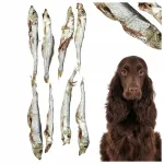 Koerte maius Best-Dog kuivatatud sprotid, 100 g