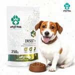 Kuiv koeratoit BozzDog, 250 g, h&uuml;poallergeenne putukatega