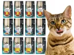 Kassitoit SHEBA, erinevad maitsed, 50 g x 72 tk