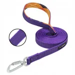 Koera treeningurihm RASCAL, kummist, 3 m, lilla