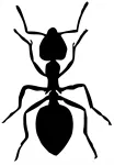 Kleebis taustata sipelgatele, 18 x 12,5 cm, autole, mootorrattale, kiivrile