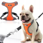 Koera valjad GUARD DOG, reguleeritavad, mugavad, r&otilde;hku mitte tekitavad, suurus M