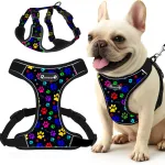 Koera rakmed Strong Paws, pehmed, mitte-suruvad, suurus S