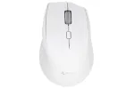 Juhtmevaba hiir Triadyn NESO, 2.4GHz, 1600 DPI, valge