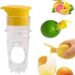 Kaasaskantav tsitruseliste mahlapress
