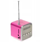 Kaasaskantav mini k&otilde;lar Rosy FM-raadiosignaali ja MP3-taasesitusega