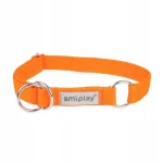 Koera kaelarihm Amiplay Samba, oranž, XL, 40&ndash;60 cm x 2,5 cm