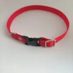 Reguleeritav kaelarihm kassile, 30 cm, S