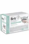 Brit Grain Free uriini- ja stressikontrolli kassitoit, 12 x 85 g