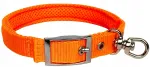 STRONG TRAIL voodriga koera kaelarihm, 25&ndash;31 cm, 20 mm