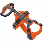 Koera rakmed Hunter Maldon, oranžid, suurus M