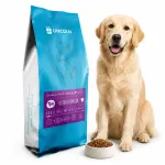 Lincoln kuivkoeratoit veise- ja riisilihaga, 12 kg