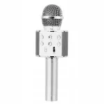 Karaokemikrofon Izoxis 22188, h&otilde;bedane
