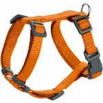 Koerte rakmed Hunter London VR 22-36 cm, XXS, oranžid