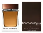 Meeste tualettvesi DOLCE & GABBANA The One 100 ml