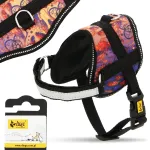 Koera valjad 32&ndash;42 cm, reguleeritavad, helkurid, surveteta, suurus XS, Norwegian COMFORT B9