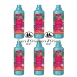 Loputusvedelike komplekt Tesori d'Oriente AYURVEDA, 6 x 760 ml