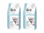 Veterinaarne Brit Grain Free Obesity kassitoit, 2 x 5 kg