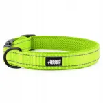 Helkur roheline koera kaelarihm HUGGY DOGGY, suurus M