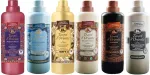 Pesupehmendite komplekt Tesori d'Oriente, 6 tk, 760 ml, PTVBHM