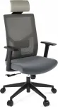 Kontoritool k&auml;situestiku ja jalatoega FLEXISPOT BS12, hall, ergonoomiline