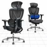 Ergonoomiline tool FLEXISPOT OC8 kohanduva kahekordse seljatoega