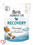 Brit Care Functional Recovery koerte maiused kalaga, 150 g