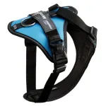 Koerarihmad Julius-K9 IDC Longwalk Light, sinised, suurus L