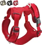Koera rakmed funPETic Essential, L, 64&ndash;76 cm, helkivad, t&otilde;mbevastased