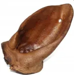 Kuivatatud p&otilde;drak&otilde;rv koertele, 1 tk.