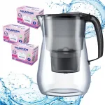 Aquaphor Onyx Black 4,2 l veekann 3 MG Maxfor kassettidega