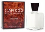 Aftershave Roberto Capucci Original 100 ml