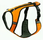 Koera rakmed SPEED, suurus 3 (XXXS), oranžid