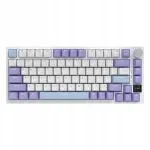 Klaviatuur AK820 Pro, lilla-valge-sinine, RGB valgustus, 3 mudelit, Gift Switch