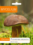 Istikud MUSHROOM BROWN SEENEDELE