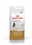 ROYAL CANIN MAINE COON KITTEN kuivtoit kassidele, 14 kg