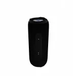 Juhitav k&otilde;lar Evelatus EBS02 M, 10W, IPX7, Bluetooth 5.0, AUX