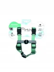 Koera rakmed M-PETS Gentle, rohelised, XS