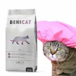 Kassitoit BENI CAT tuunikalaga, 20 kg, valivatele kassidele