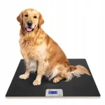 Loomade kaalud ADE XL kuni 100 kg, platvorm 80x60 cm