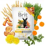 N&auml;riliste maius Brit Animals Immune Stick immuunsuse tugevdamiseks, 100 g