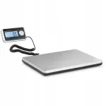Saadete kaalud LCD-terminaliga 300/0,1 kg
