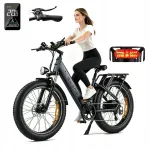 Elektriline linnajalgratas ENGWE E26, 250W, 48V 16Ah, 140 km, 25 km/h, 26