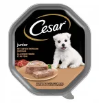 CESAR Junior koerapasteet vasikaliha ja kalkunilihaga, 150 g