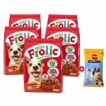 Kuiv koeratoit Frolic Mini XS/S veiselihaga, 5 x 800 g + kingitus DENTASTIX