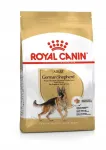 Royal Canin German Shepherd Adult kuivtoit koertele, 16 kg