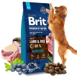 Kuiv lambaliha toit BRIT PREMIUM BY NATURE tundlikele koertele, 15 kg