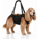 Loomade taastusravi vest, koera kandmiseks ja vedamiseks