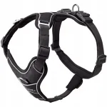 Koerte valjapidemed Hunter Divo Up, mustad, XS