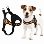 Koera valjad Jack Russell, 43&ndash;58 cm, TRE PONTI Tiger, suurus 2.5